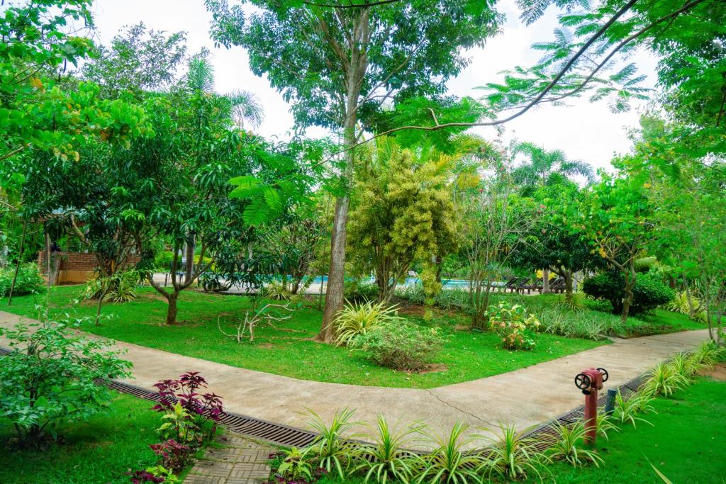 Sun Green Resort