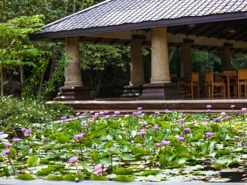 Kaveri Resort