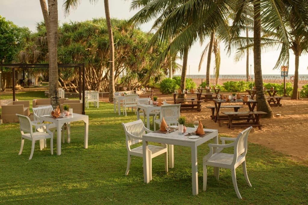 club hotel dolphin