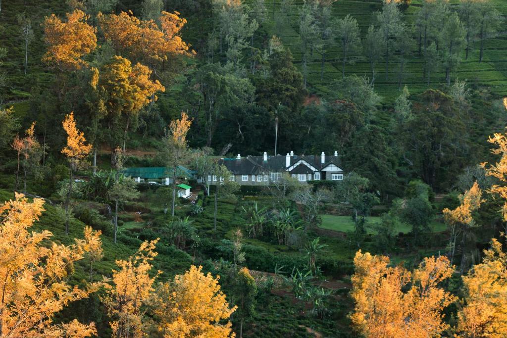 Scottish Planter Bungalow - Ragala