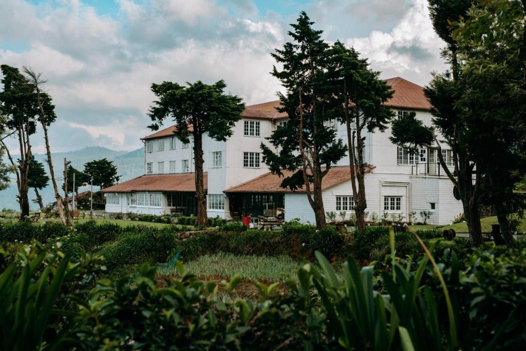 Tea & Experience Mandaramnuwara