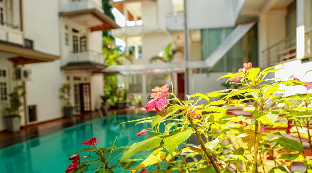 Serene Garden