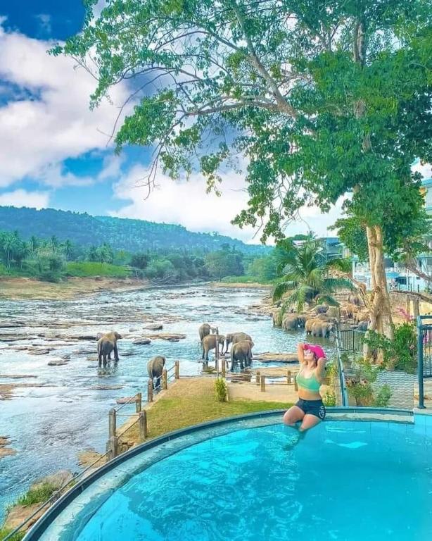 Hotel Elephant Bay