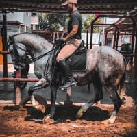 Avatar de Manuel Augusto Campos Urcia