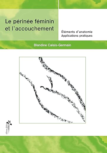 Le Perinee Feminin Et