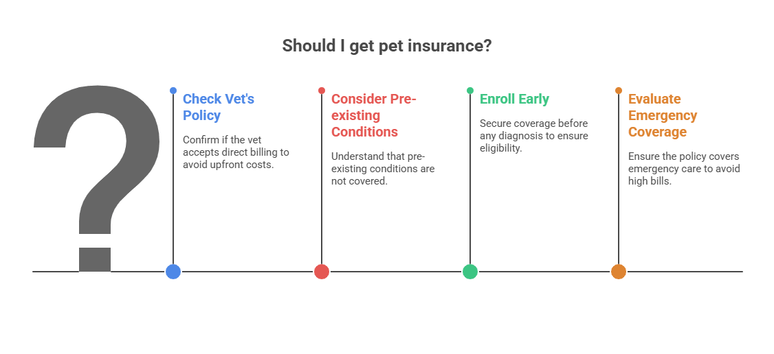 should-I-get-pet-insurance.png