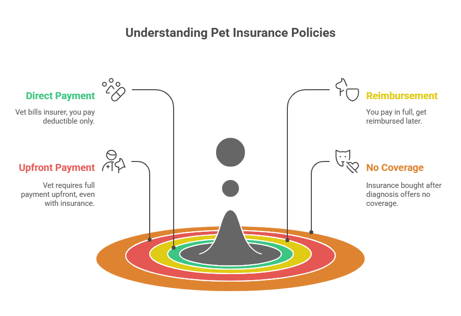 understanding-pet-insurance-policies.png