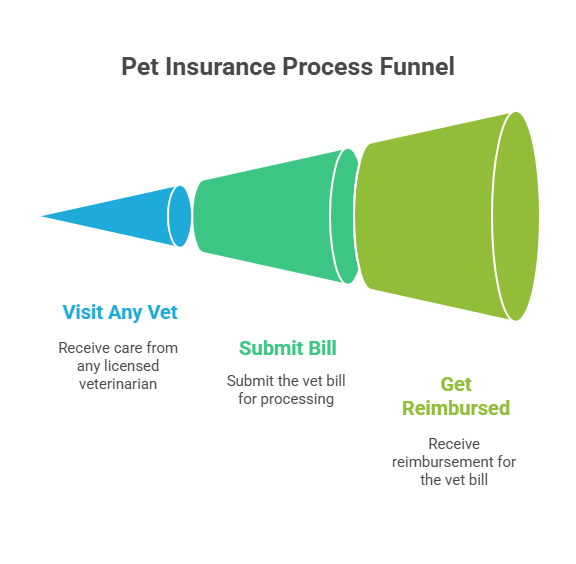 How Does Pet Insurance Work_ - visual selection (1).png