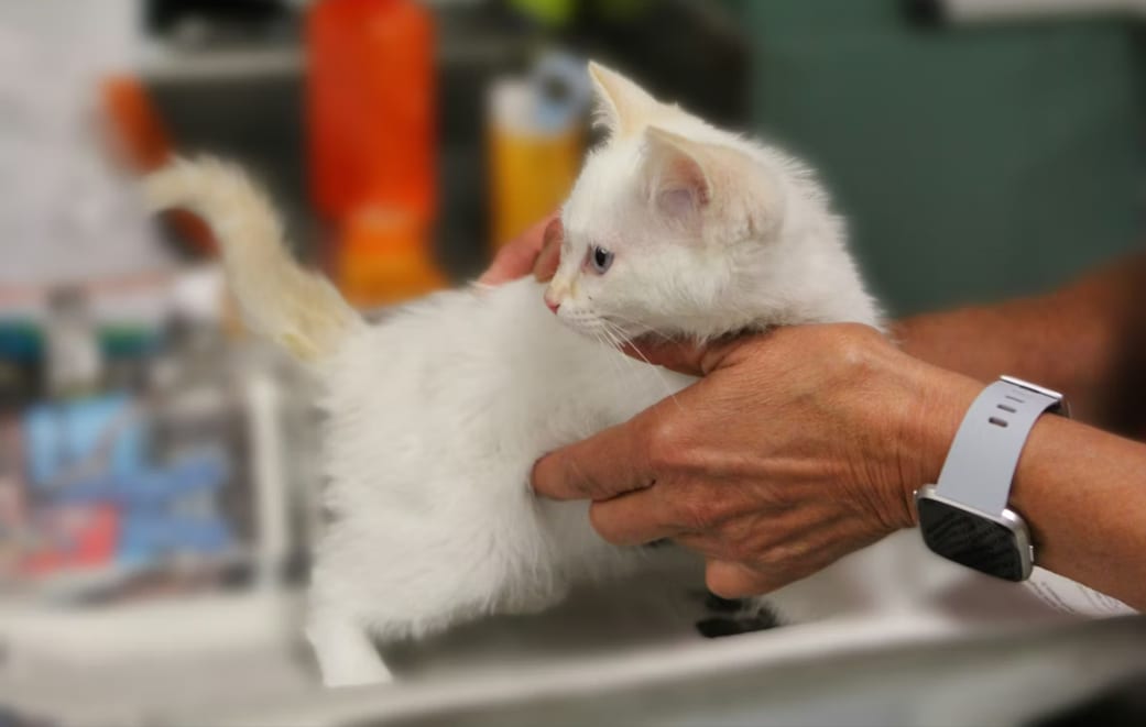 Screenshot 2026-01-14 221651.png