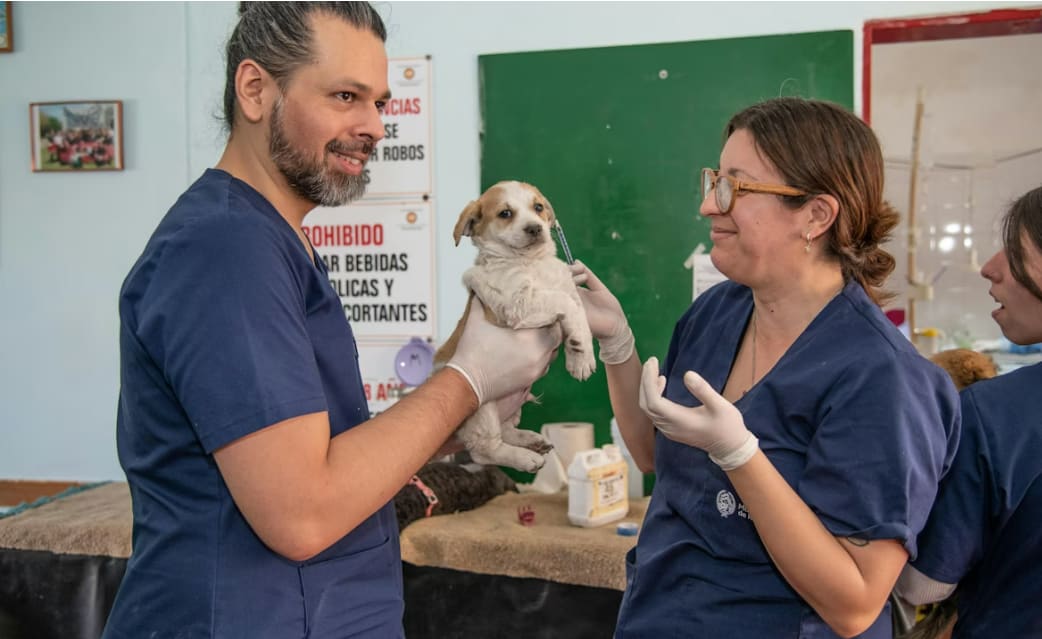 Screenshot 2026-01-14 222201.png