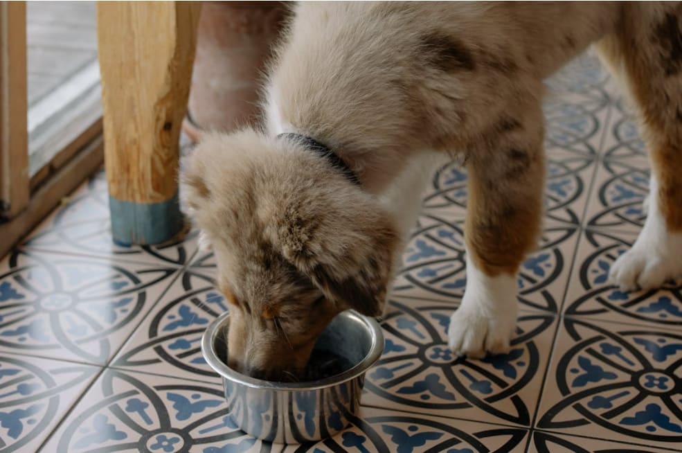 Screenshot 2026-01-14 224829.png