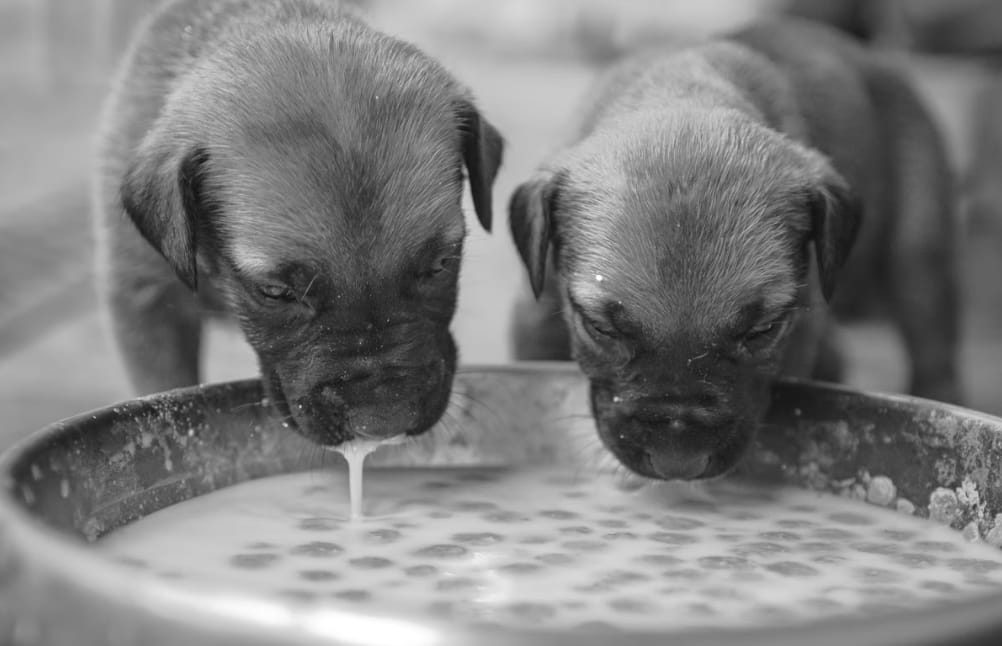 Screenshot 2026-01-14 225358.png