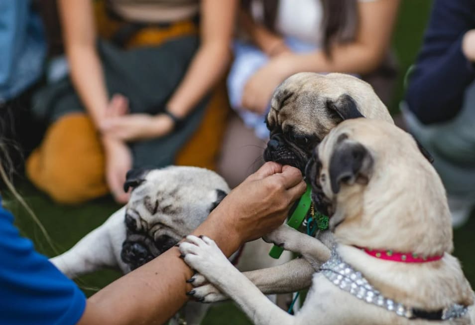 Screenshot 2026-01-14 230427.png