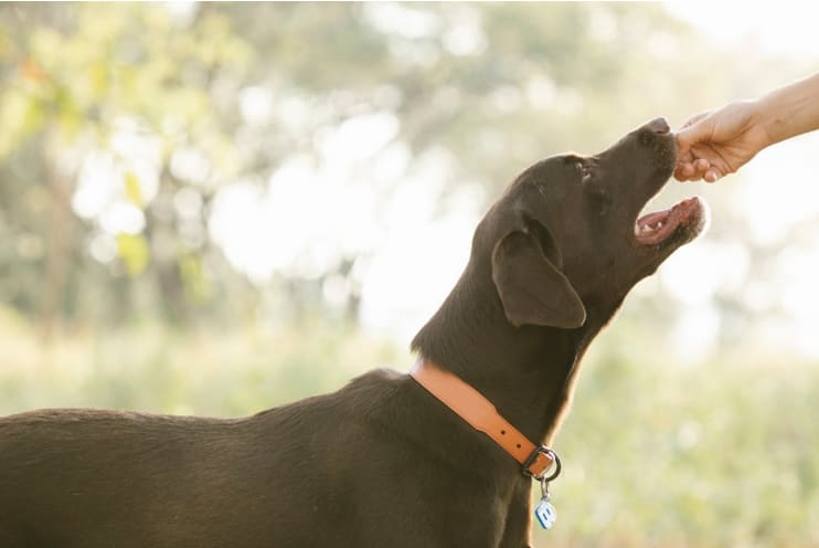 Screenshot 2026-01-14 231525.png