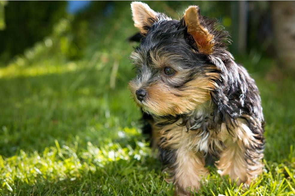 Screenshot 2026-01-14 232255.png