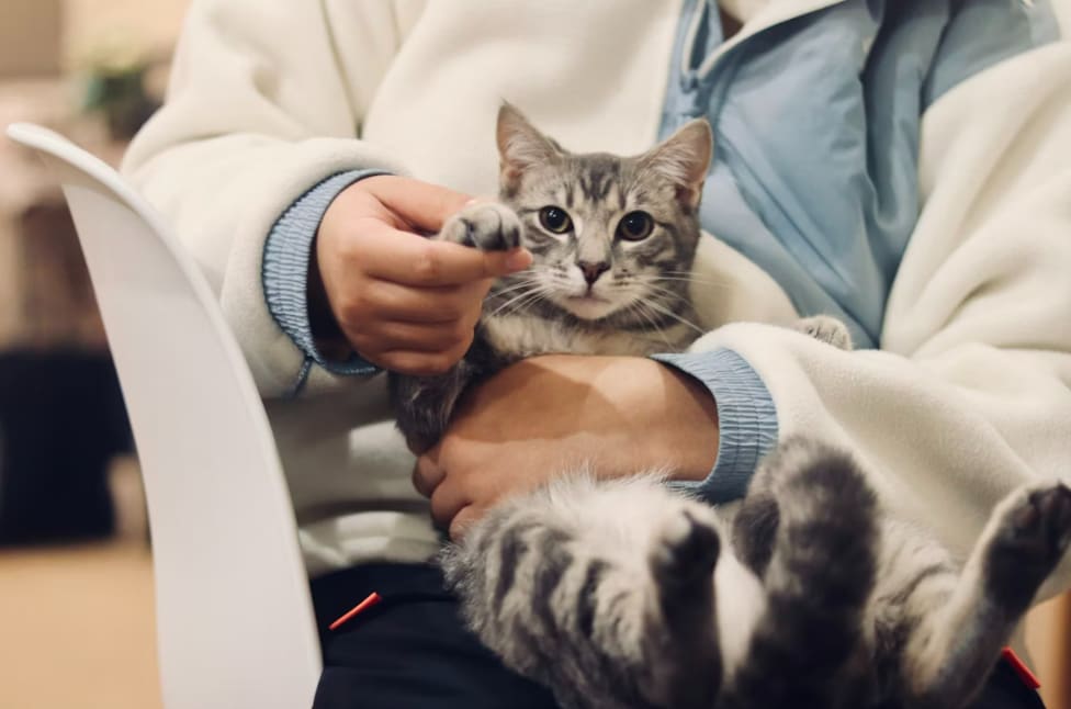 Screenshot 2026-01-14 232735.png