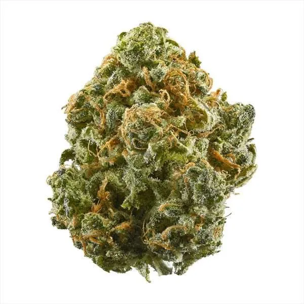 Godfather OG Strain