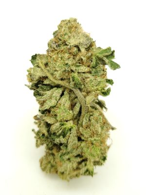 Purple Punch Strain 