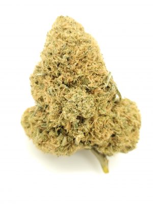 LA Confidential Strain