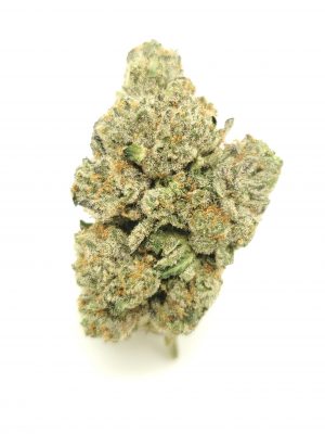 Black Afghan Strain