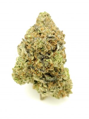 Afghan Purple Strain