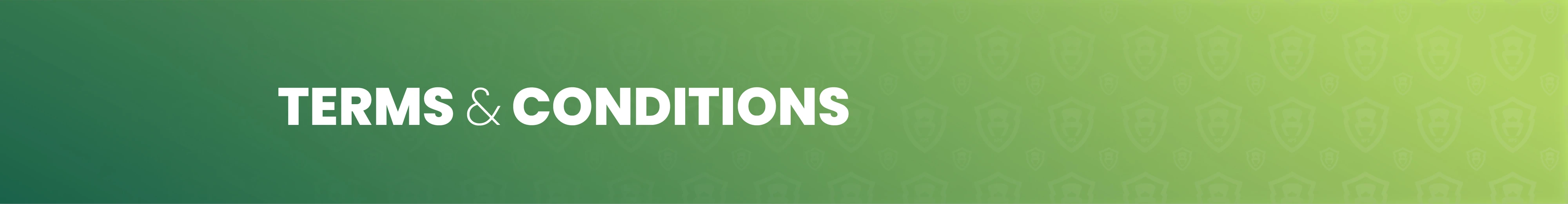 Terms and Conditions Banner