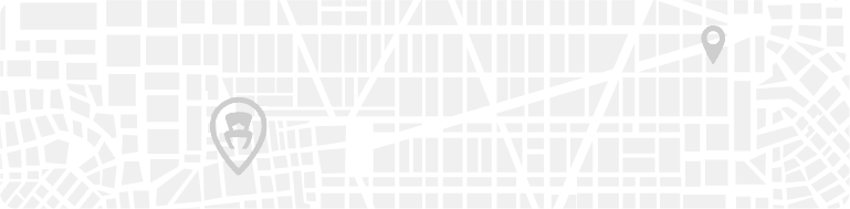Search Icon