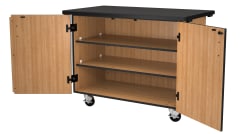 Check out the Mobile Storage Cabinets