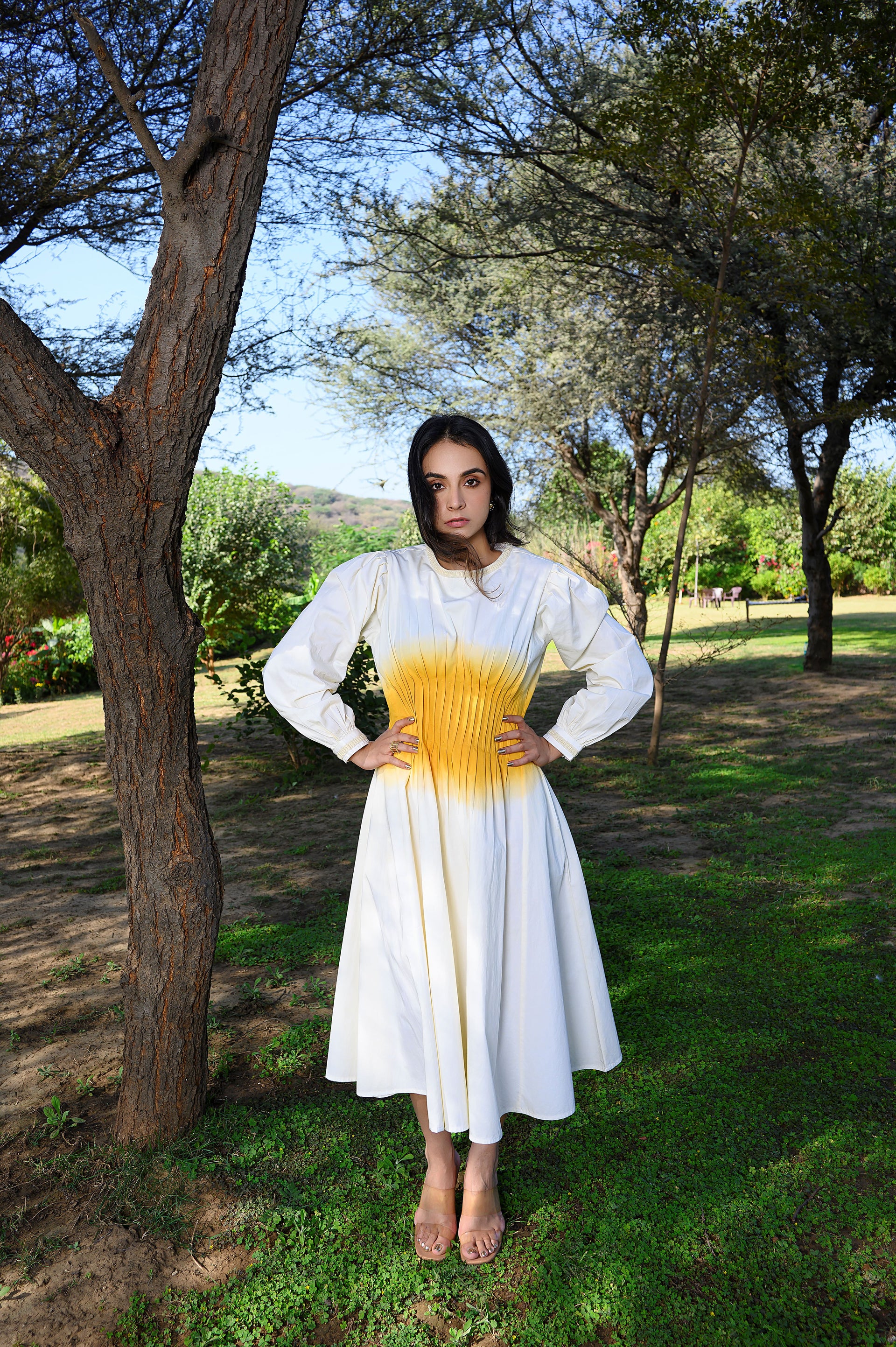 AVAANI DRESS