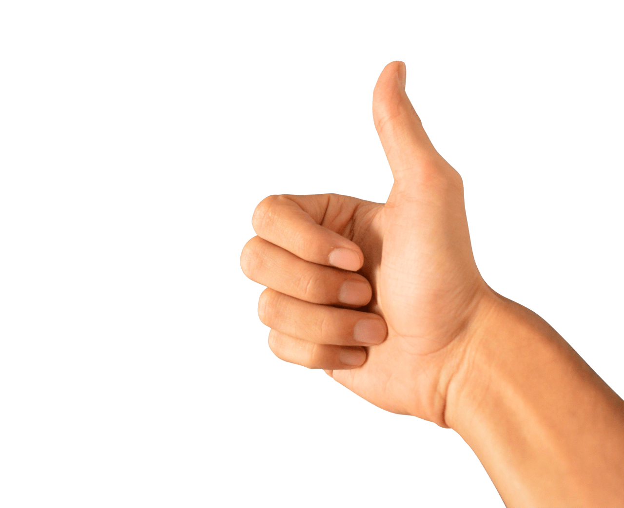 Preview of Thumbs Up Human Hands Thumbs Png Image Transparent Png 2 1