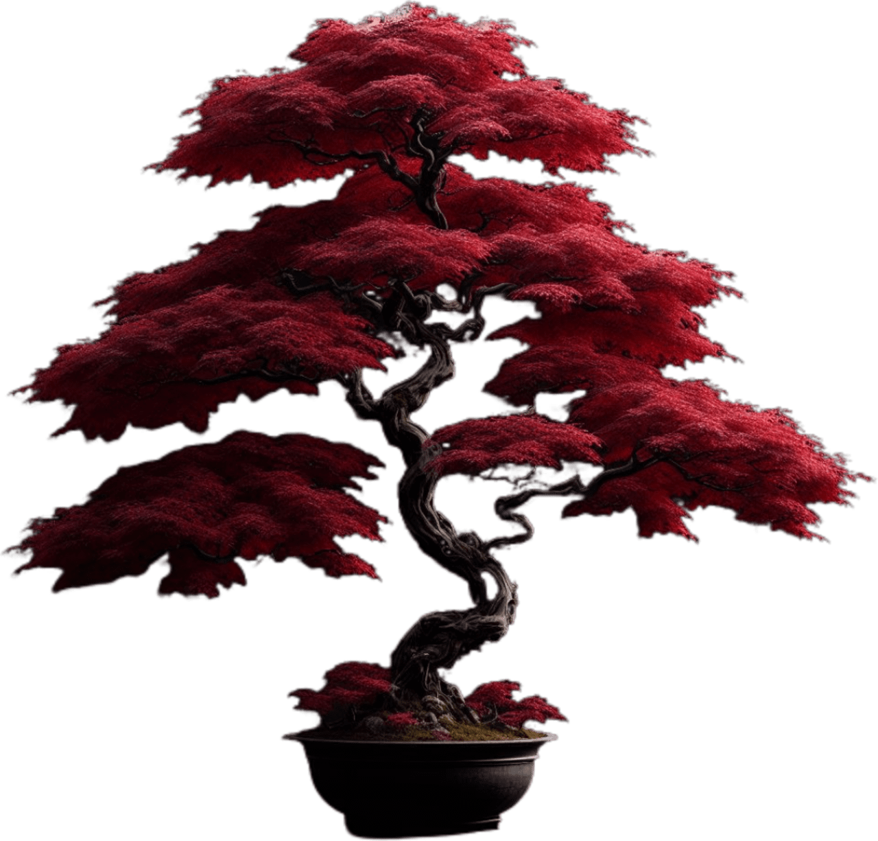 Preview of Tree