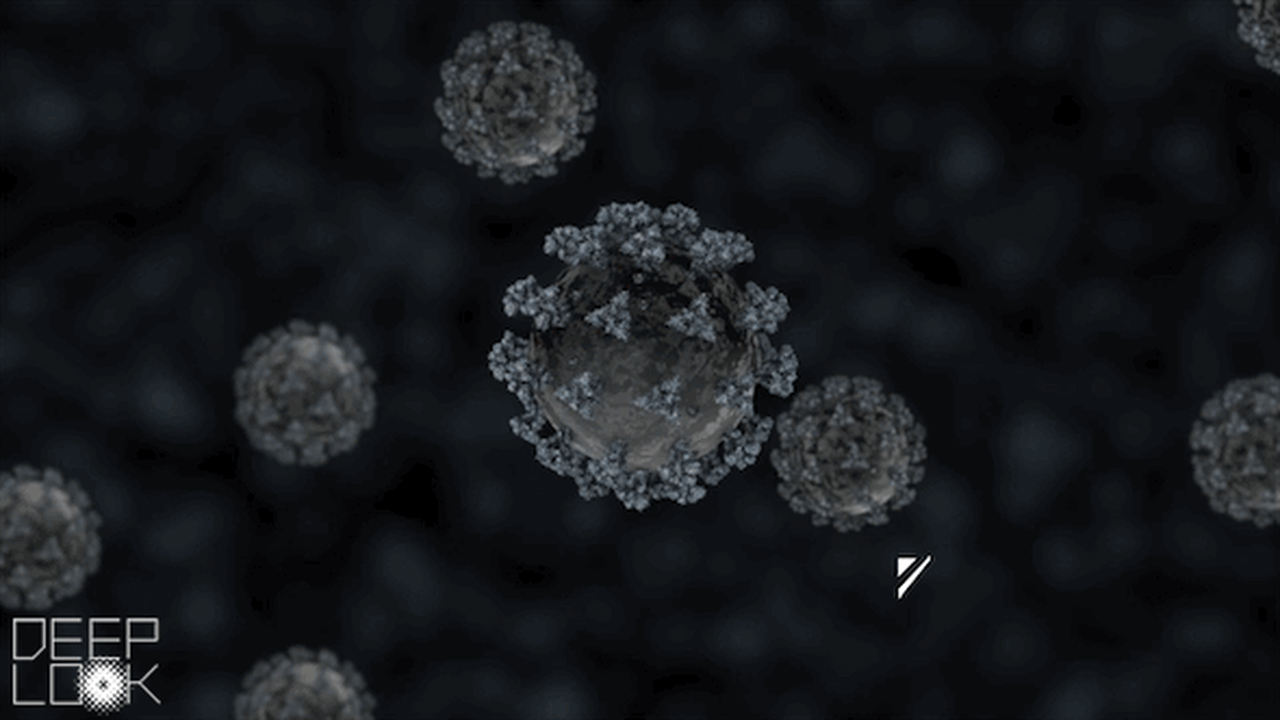 Preview of Dl711 Virus Label