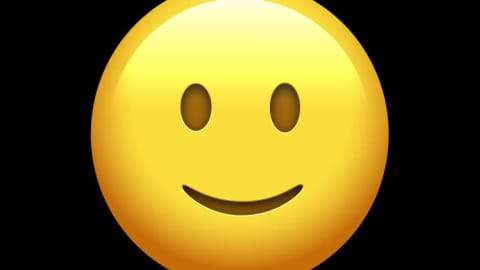 Preview of Slightly Smiling Face