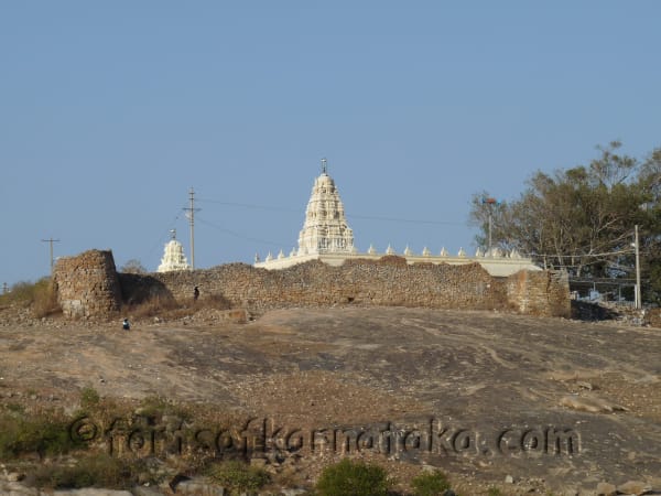 Bettadasanapura