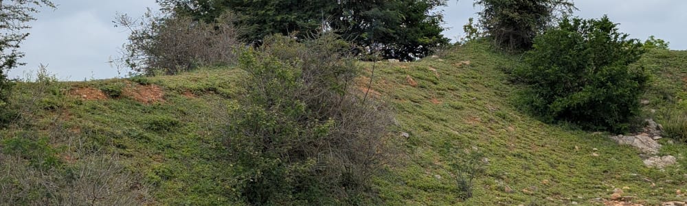 Dwarapalli / Shettyhalli