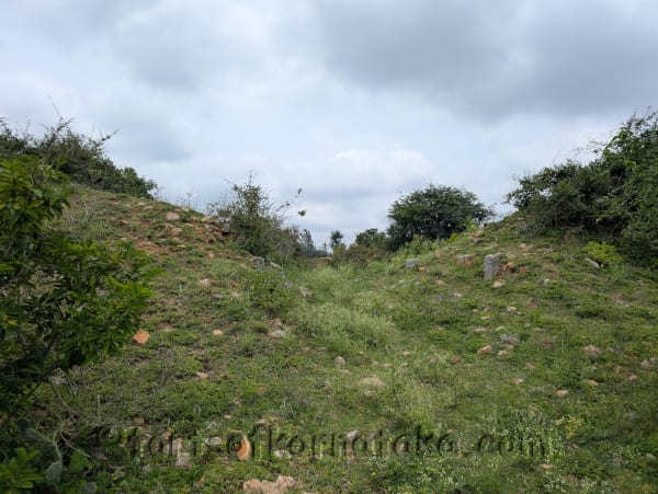 Dwarapalli / Shettyhalli