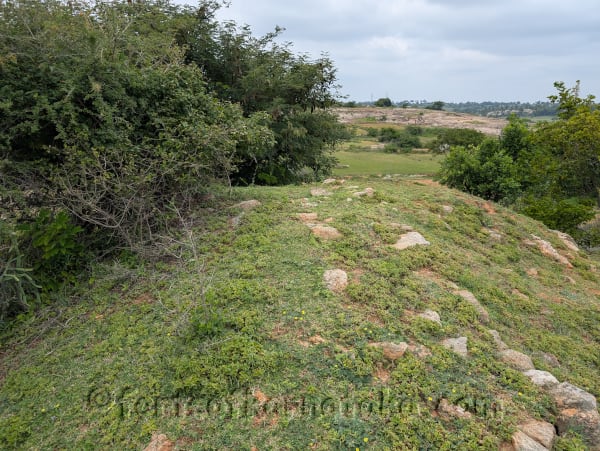 Dwarapalli / Shettyhalli