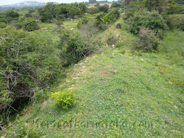 Dwarapalli / Shettyhalli