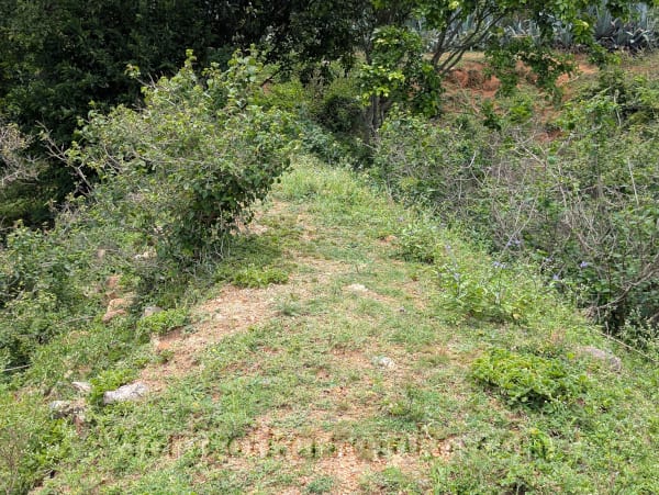 Dwarapalli / Shettyhalli