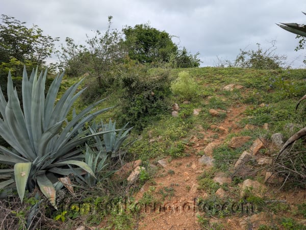 Dwarapalli / Shettyhalli