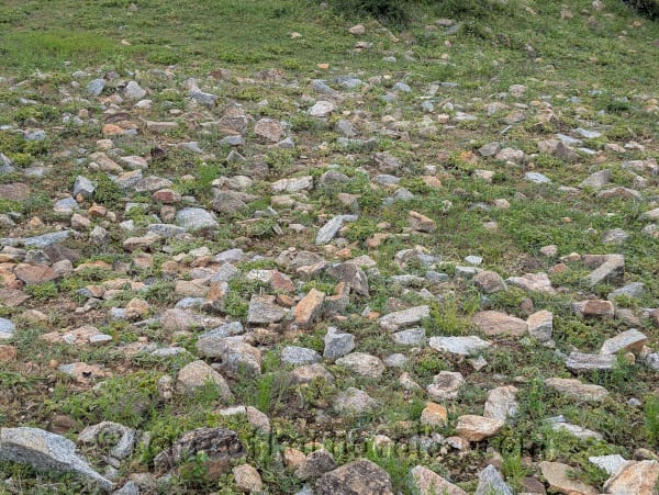 Dwarapalli / Shettyhalli