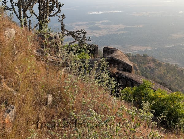 Garudanagari