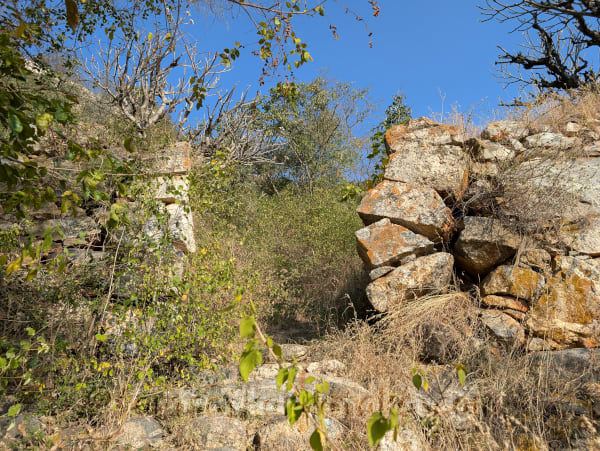 Garudanagari