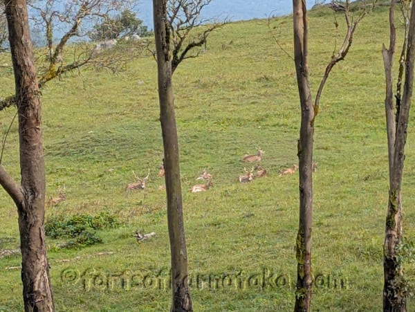 Himavad Gopalaswamy Betta