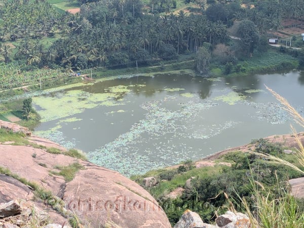 Jalamangala  (Narayanagiri)