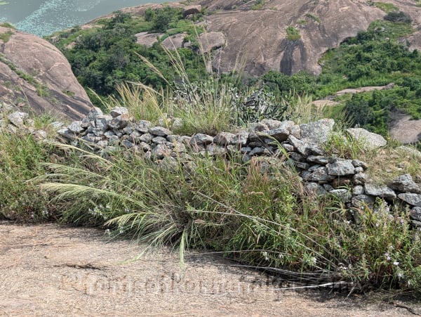 Jalamangala  (Narayanagiri)