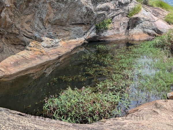 Jalamangala  (Narayanagiri)