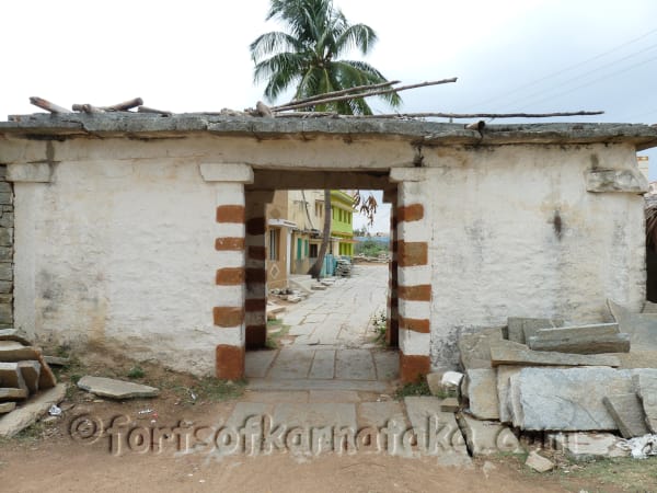 Kaki Bise Gowdana Kote