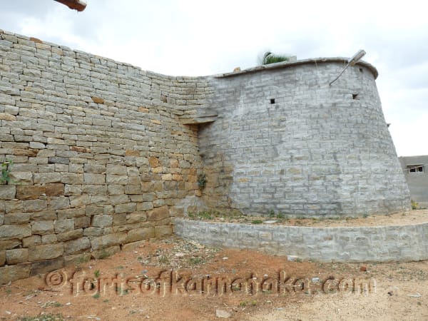 Kaki Bise Gowdana Kote