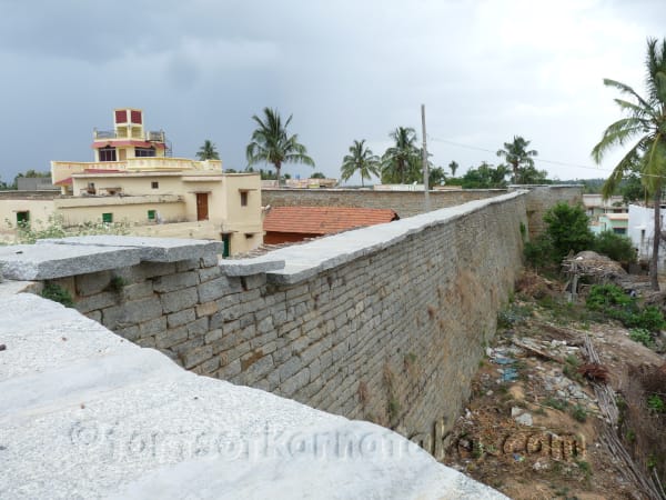 Kaki Bise Gowdana Kote